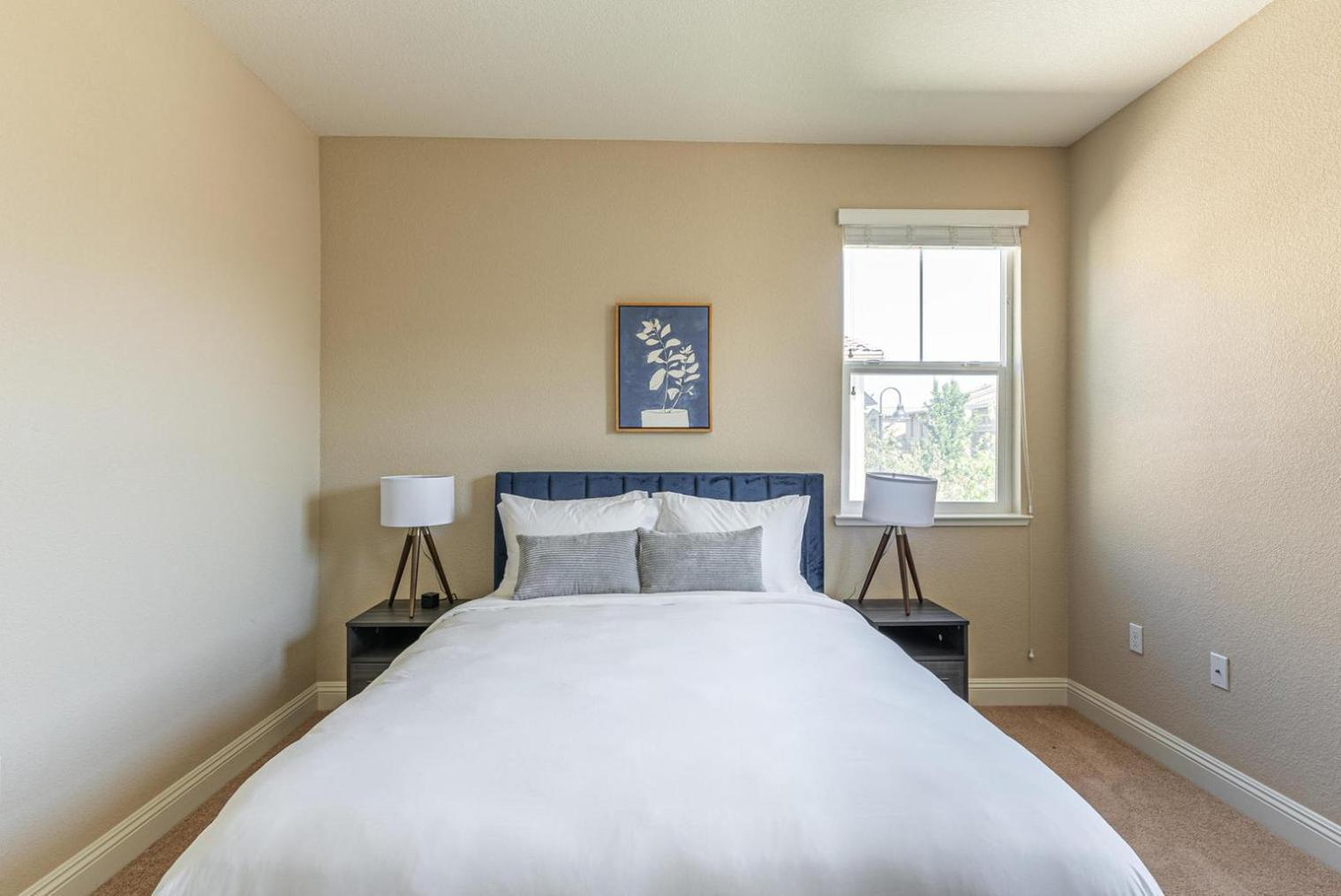 5br W Backyard Groceries Playground Sfo-1565 Apartment Dublin